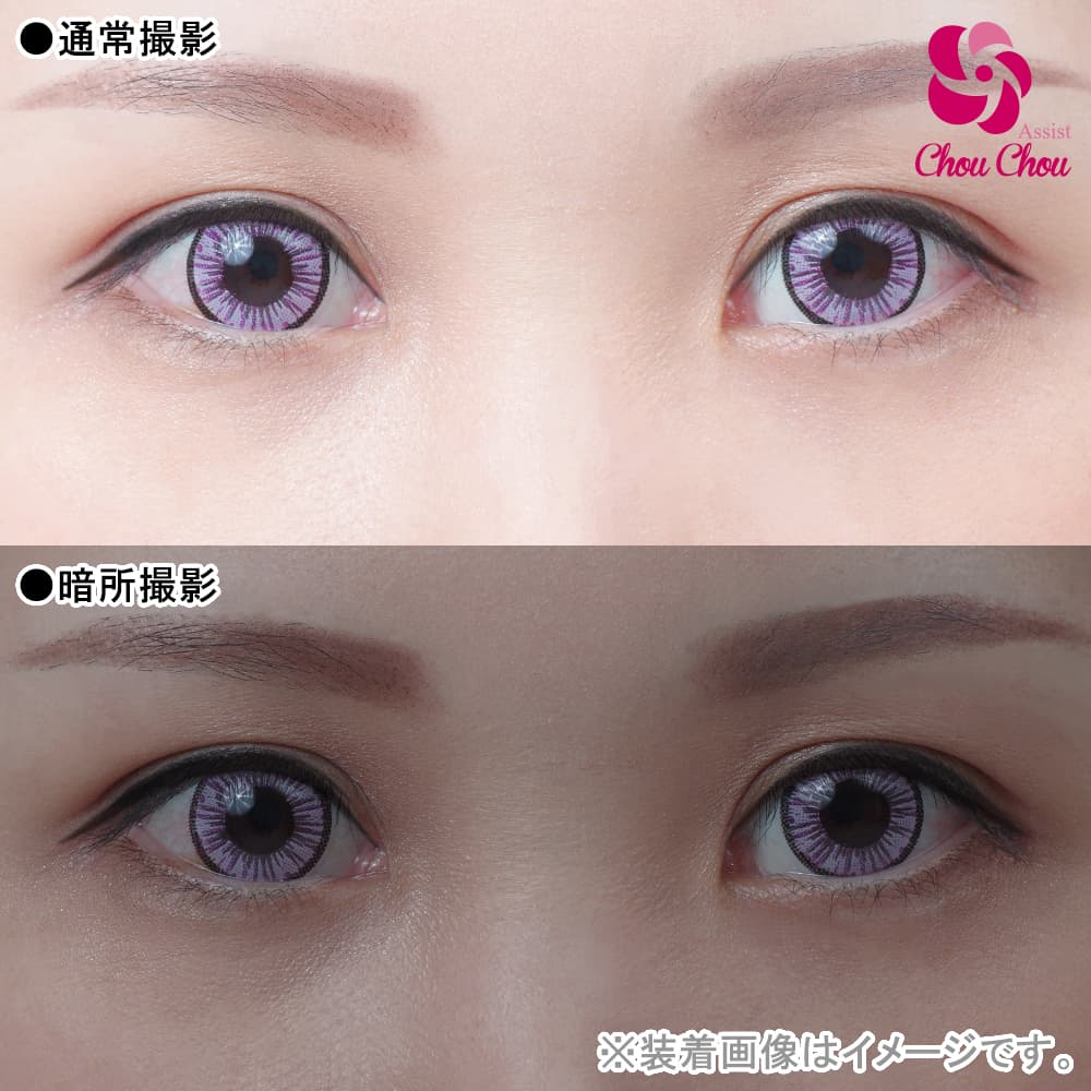  アシストシュシュ アイスフローラワンデー(AssistChouChou　ICE Flora 1Day Series)6枚入 