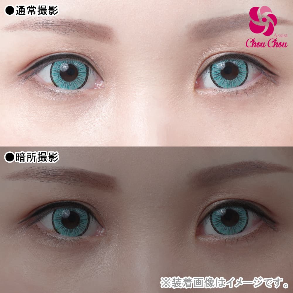  アシストシュシュ アイスフローラワンデー(AssistChouChou　ICE Flora 1Day Series)6枚入「フローズンアクア」 