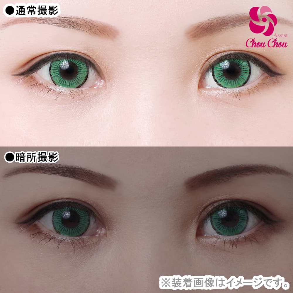  アシストシュシュ アイスフローラワンデー(AssistChouChou　ICE Flora 1Day Series)6枚入「グリーンウォッカ」 