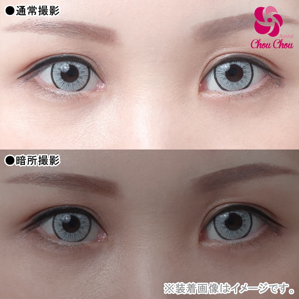  アシストシュシュ アイスフローラワンデー(AssistChouChou　ICE Flora 1Day Series)6枚入「スノーグレイ」 