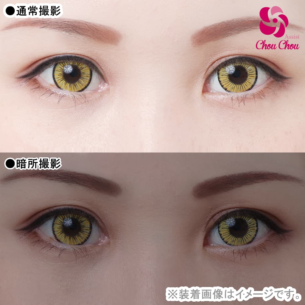  アシストシュシュ アイスフローラワンデー(AssistChouChou　ICE Flora 1Day Series) 6枚入「タイガーストーン」 