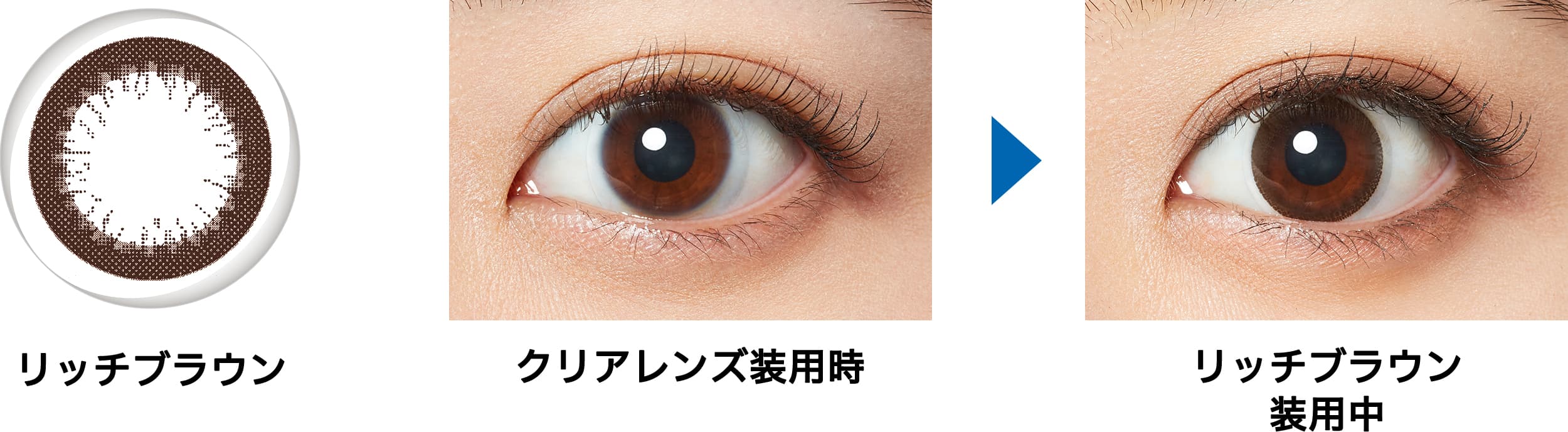 フレッシュルックデイリーズイルミネート「リッチブラウン」装用比較