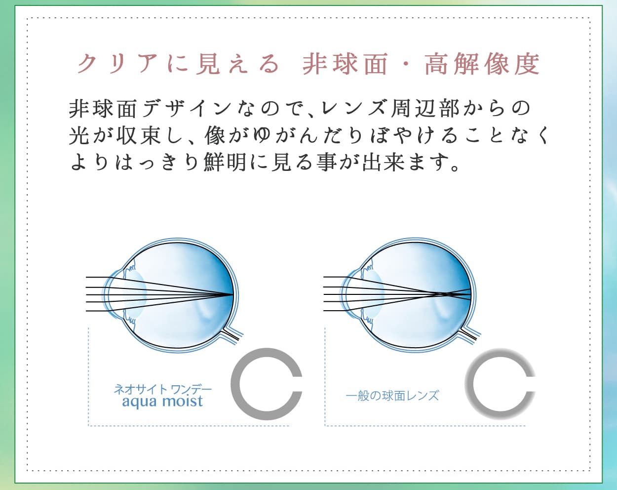  ネオサイトワンデーアクアモイスト 30枚入　クリアレンズ