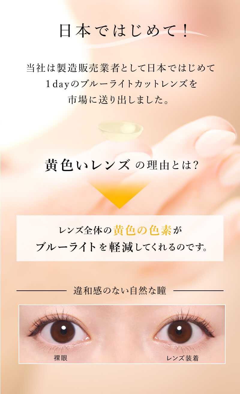 ワンデーリフレア BL UVモイスチャー55（1Day Refrear BL UV Moisture）30枚入 