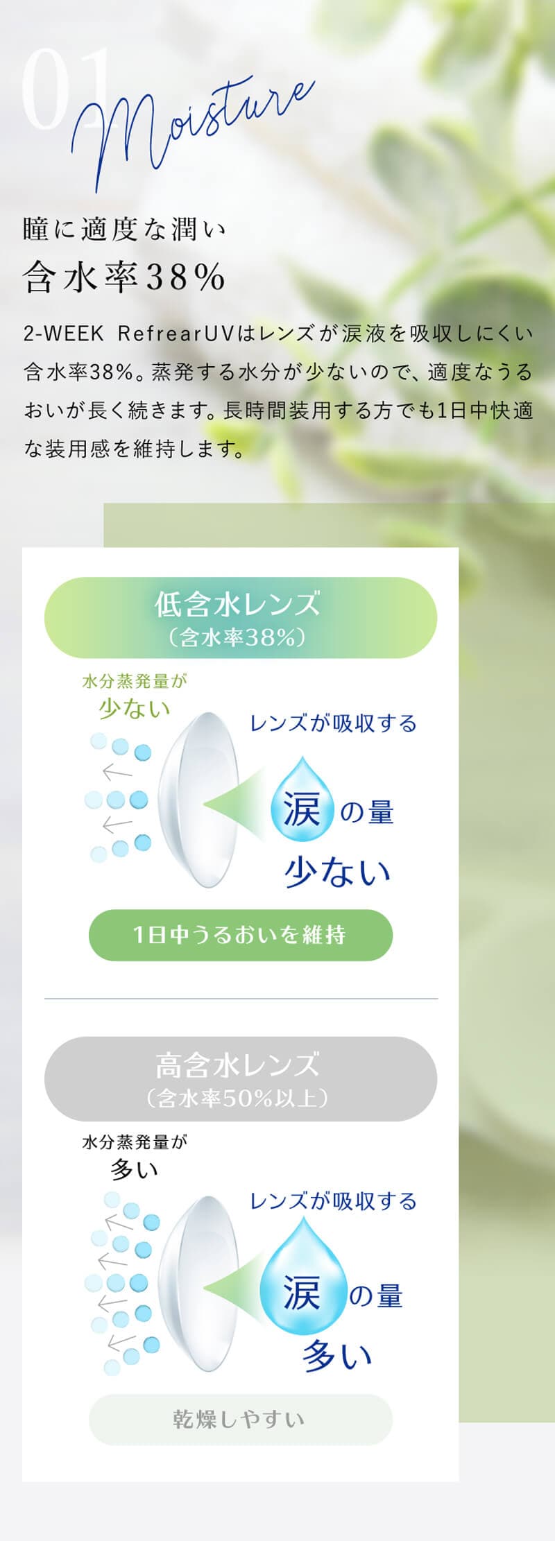 ツーウィーク リフレア(2week Refrear)(6枚入)