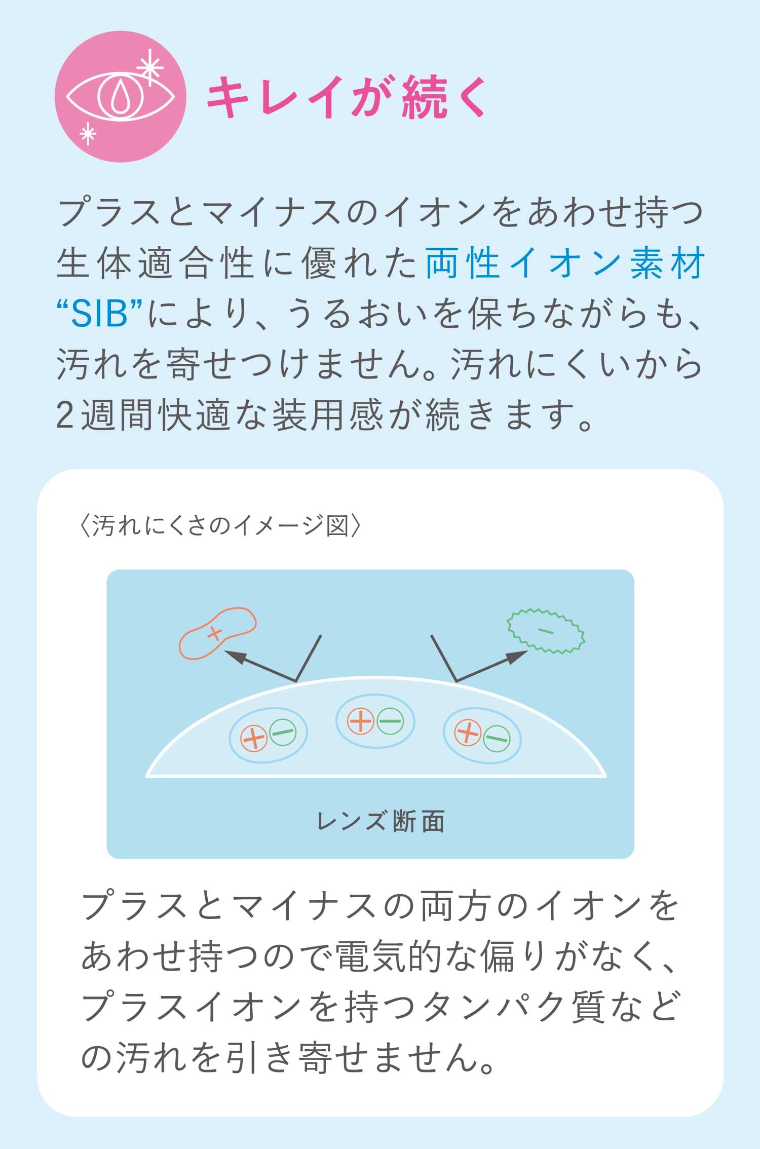 シード2weekピュアうるおいプラス(SEED 2week Pure)6枚入　BC8.6mmのソフトコンタクトレンズ