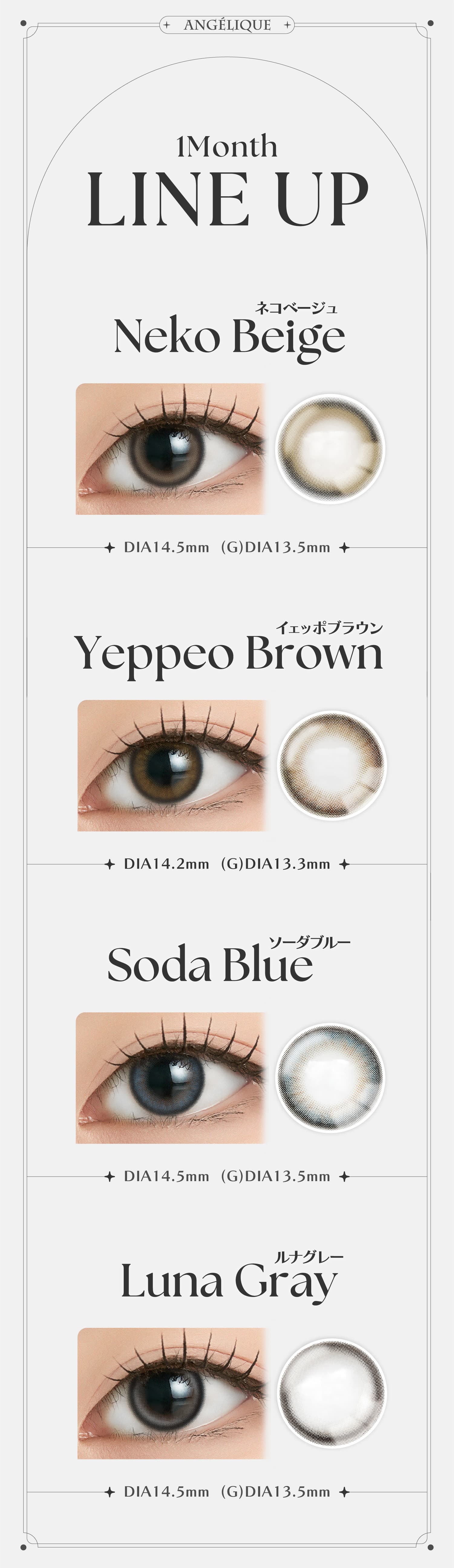 全カラー詳細-(G)I-DLEのSOYEON(ソヨン)イメージモデルのアンジェリーク マンスリー1ヵ月カラコン(ANGELIQUE) 韓国カラコン