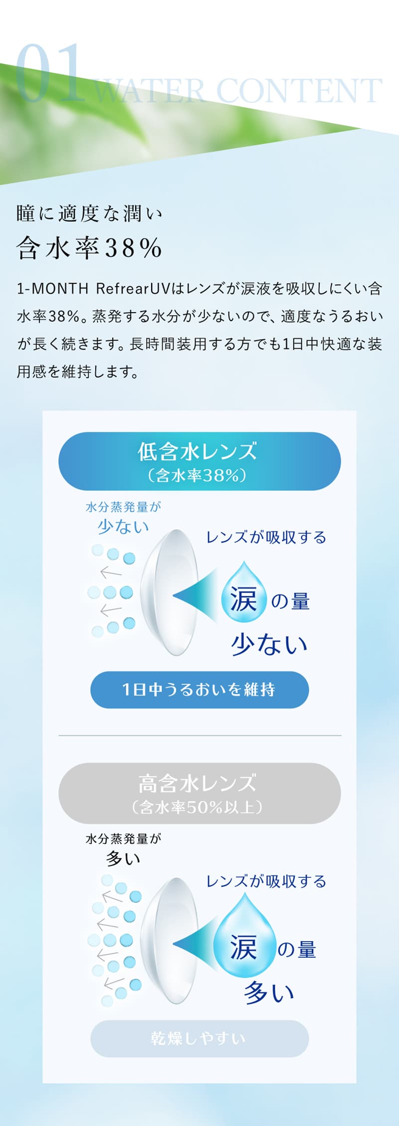 ワンマンスリフレアUV(1month Refrear)(6枚入)