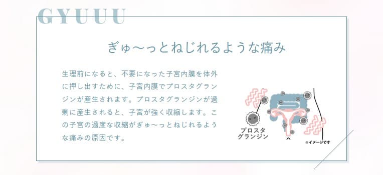 エルペインコーワ 12錠 興和【指定第2類医薬品】 生理痛専用薬 