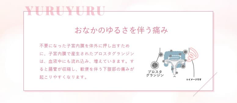 エルペインコーワ 12錠 興和【指定第2類医薬品】 生理痛専用薬 