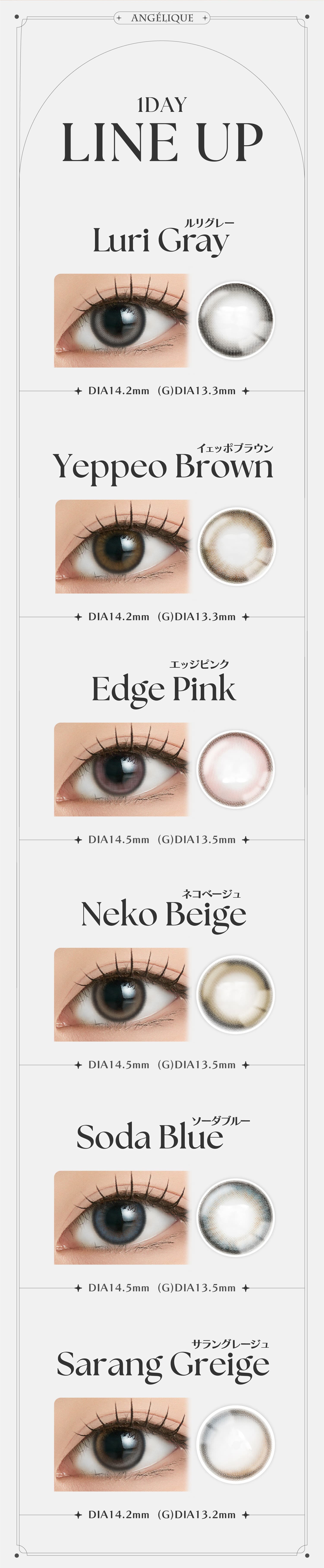(G)I-DLEのSOYEON(ソヨン)イメージモデルのアンジェリーク ワンデー(ANGELIQUE 1day) 韓国カラコン