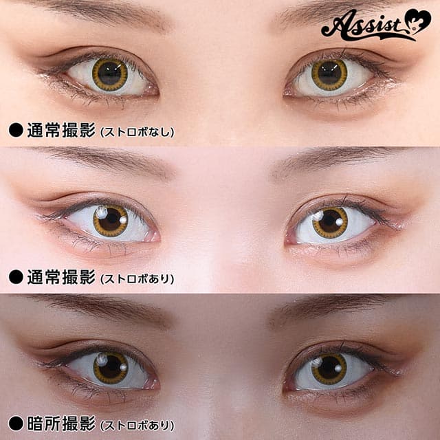 アシストシュシュ ハスキーアイ(AssistChouChou HuskyEye) 6枚入 