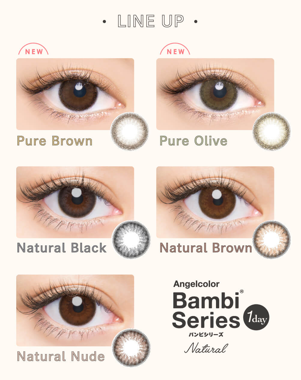 エンジェルカラーバンビナチュラル 益若つばさ カラコン 度あり 度なしレンズナインナップ