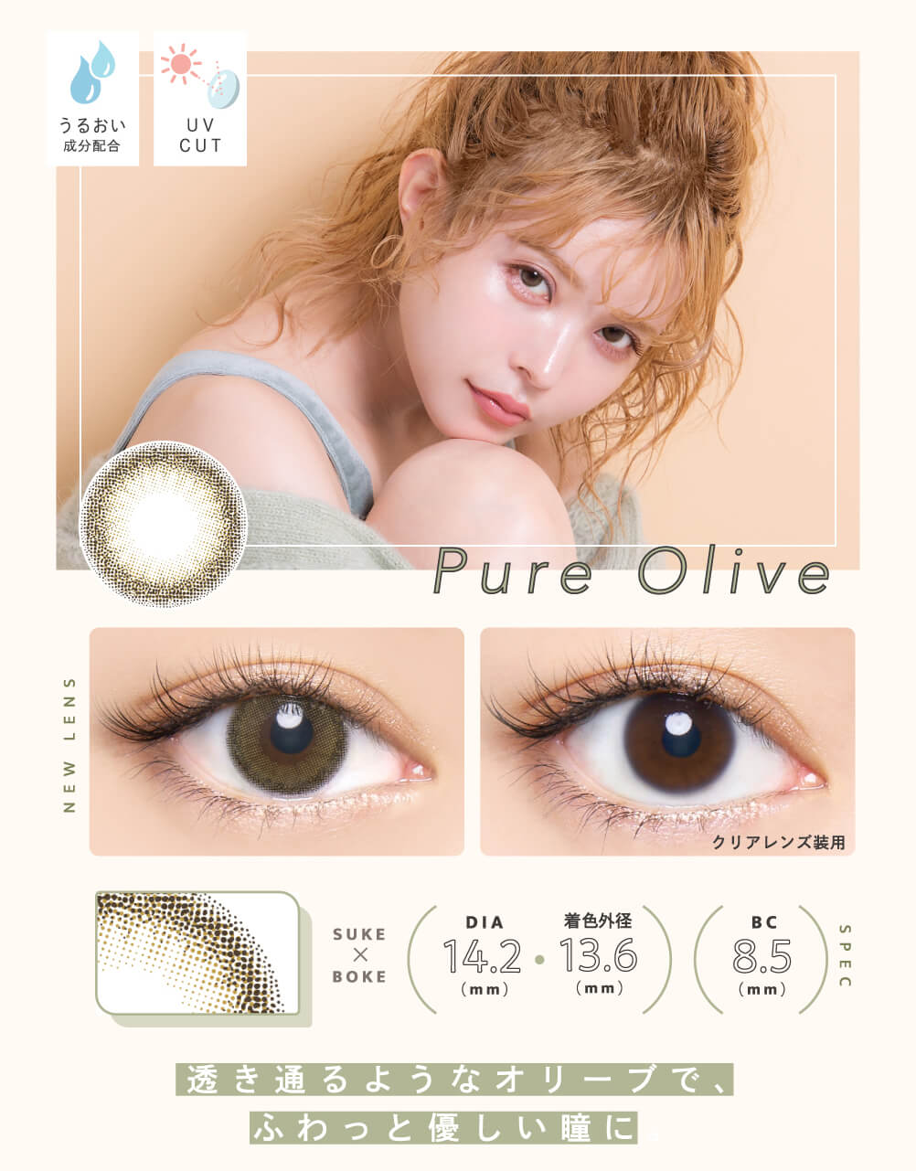 エンジェルカラーバンビナチュラル 益若つばさ カラコン 度あり 度なし　ピュアオリーブ詳細