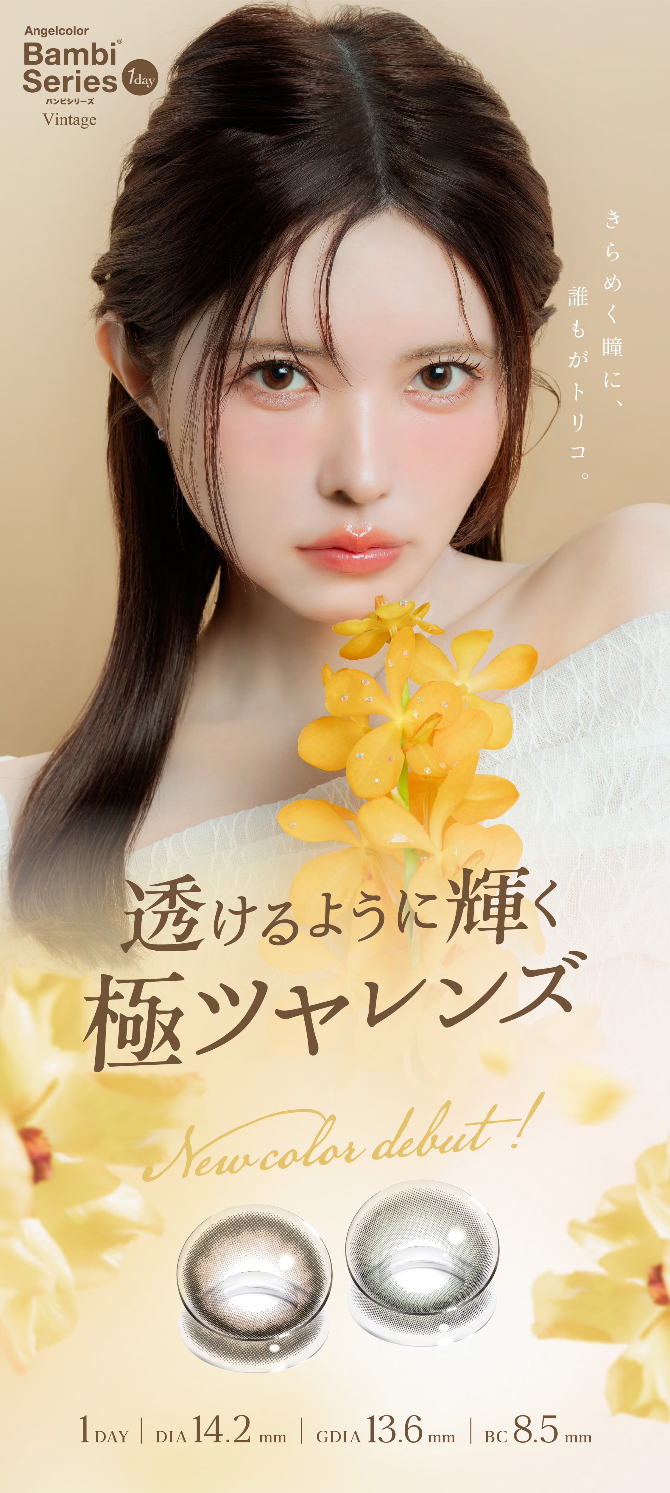 エンジェルカラーバンビヴィンテージ-益若つばさカラコン度あり度なし-バンビシリーズヴィンテージ