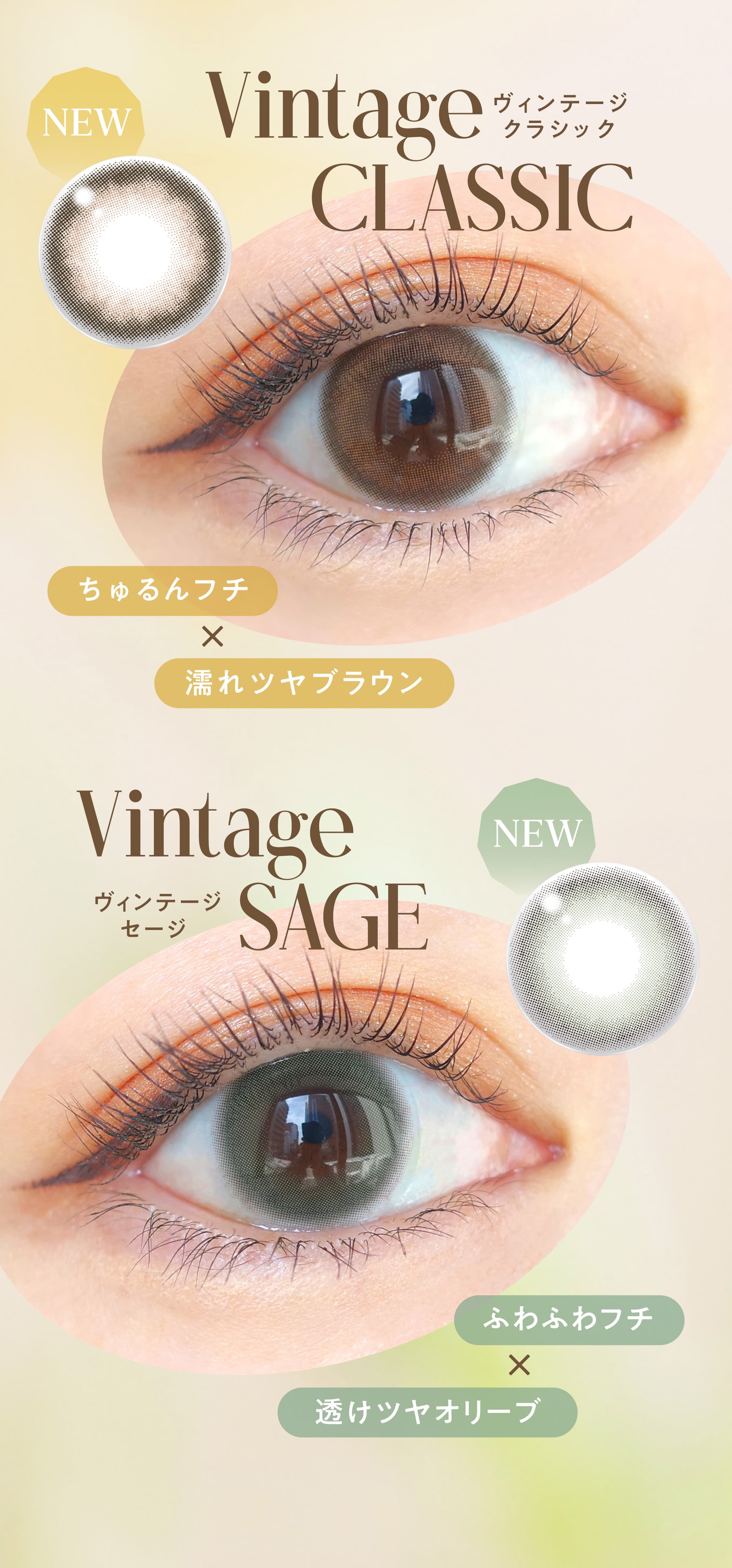 エンジェルカラーバンビヴィンテージ-益若つばさカラコン度あり度なし-バンビシリーズヴィンテージ