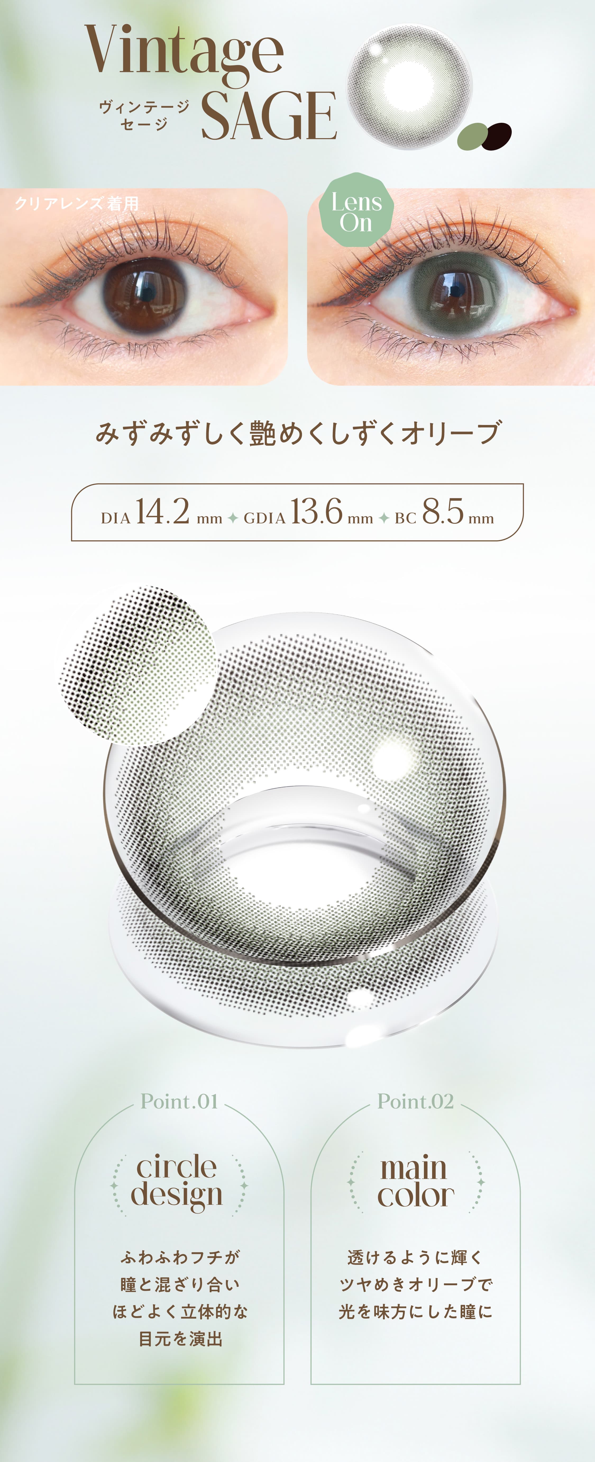 エンジェルカラーバンビヴィンテージ-益若つばさカラコン度あり度なし-バンビシリーズヴィンテージ-ヴィンテージセージ