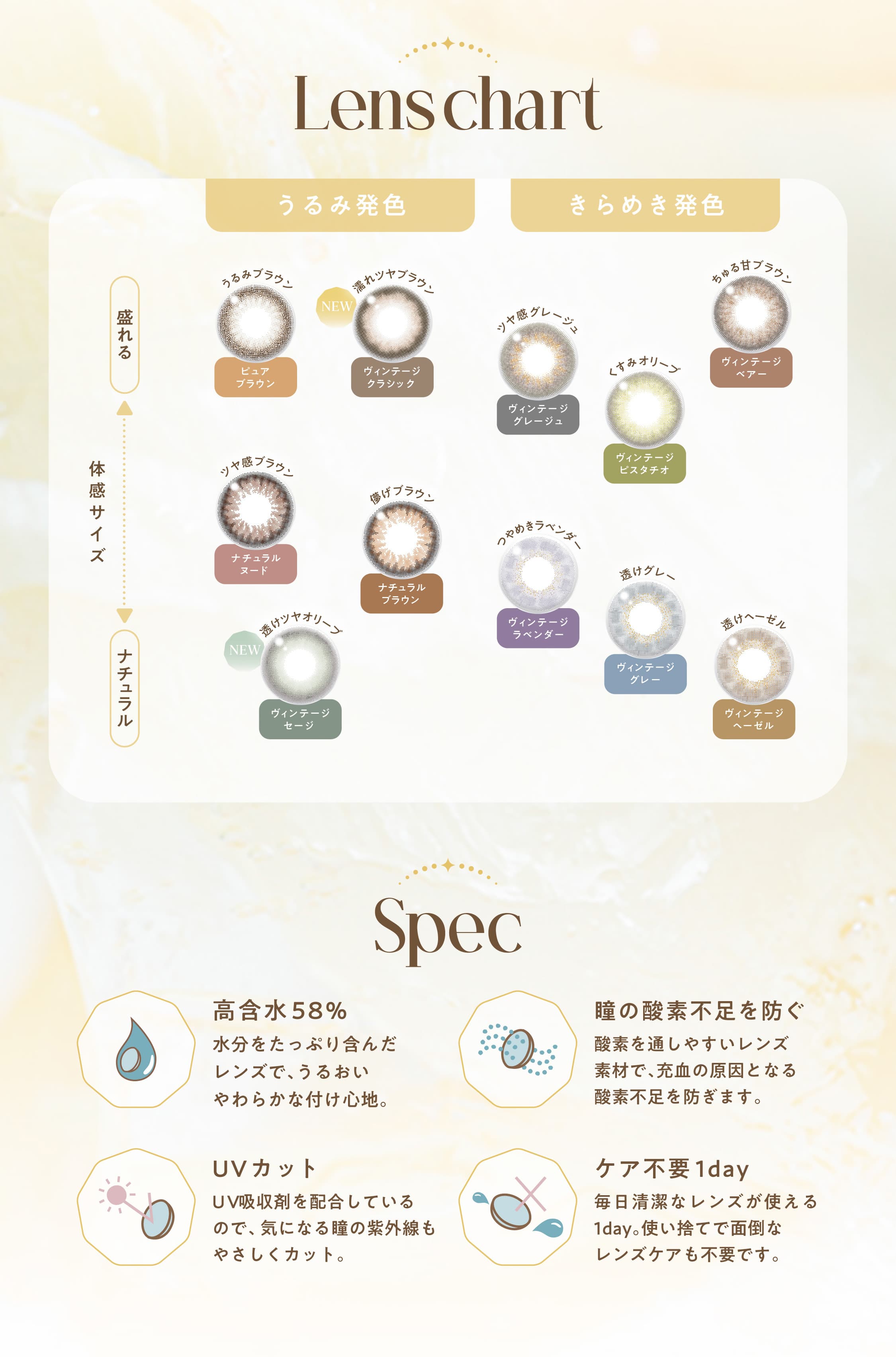 エンジェルカラーバンビヴィンテージ-益若つばさカラコン度あり度なし-バンビシリーズヴィンテージ-レンズチャート-スペック
