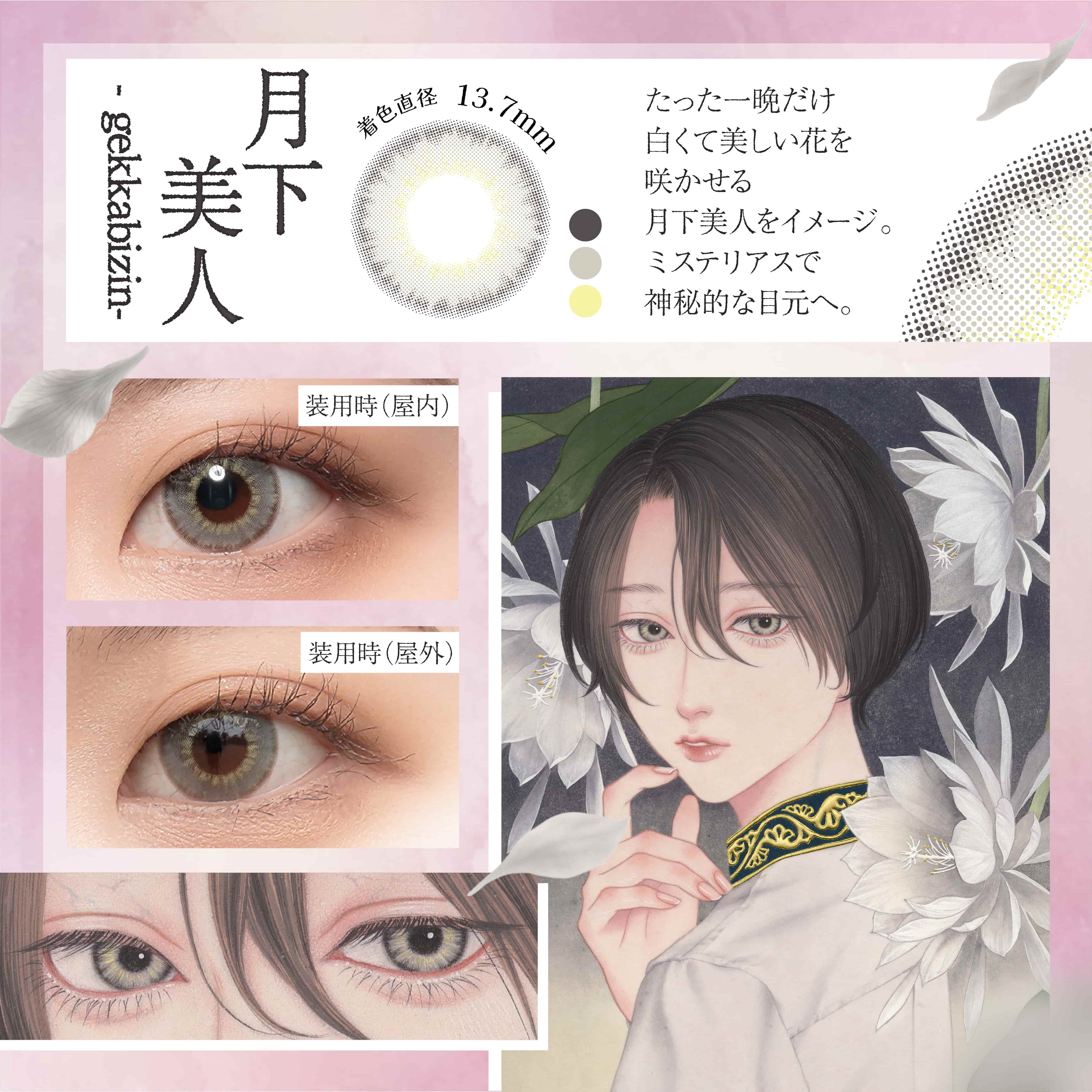 美少年画 Bishonenga(ビショウネンガ)2枚入月下美人の詳細