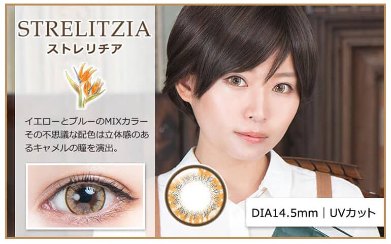 パーフェクトシリーズワンデー フルブルームの「ストレリチア」