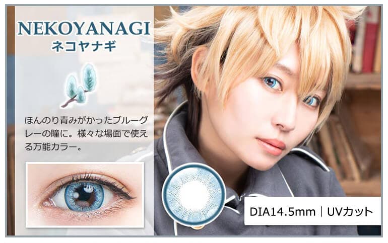 パーフェクトシリーズワンデー フルブルームの「ネコヤナギ」