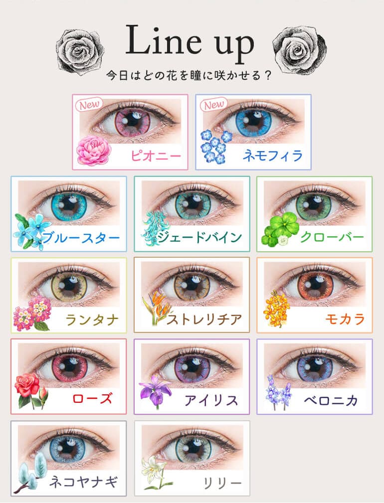 パーフェクトシリーズワンデー フルブルーム