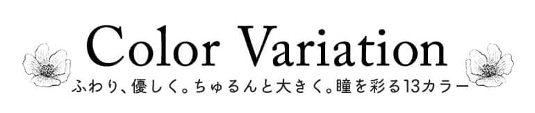 パーフェクトシリーズワンデー フルブルーム