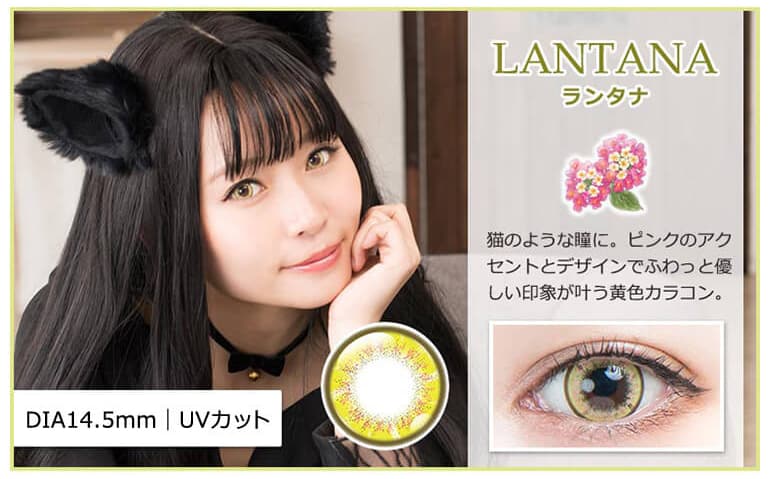 パーフェクトシリーズワンデー フルブルームの「ランタナ」