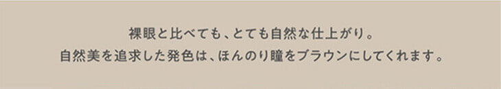  ディオーブ ワンデー/1箱10枚入 1日使い捨て（度なし・度あり） 