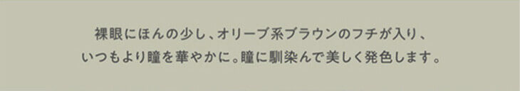  ディオーブ ワンデー/1箱10枚入 1日使い捨て（度なし・度あり） 