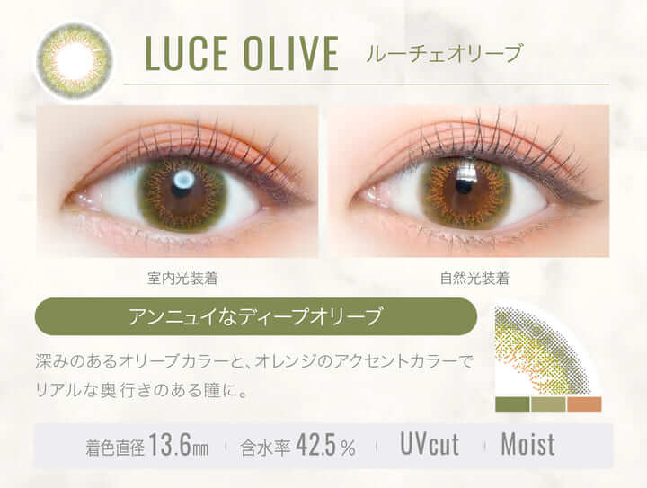 エバーカラーワンデールクアージュ　新木優子　カラコン