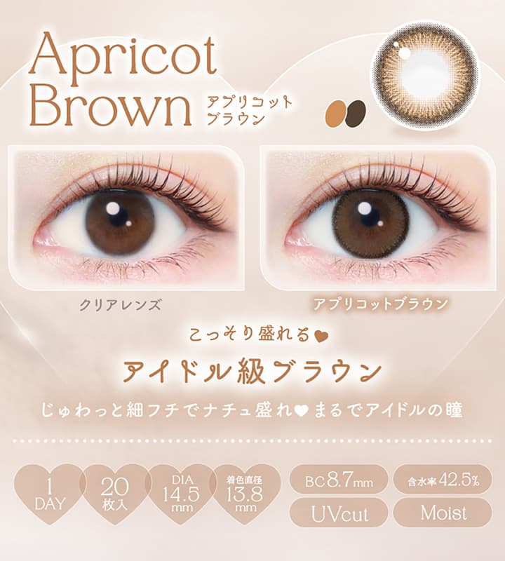 エバーカラーワンデーナチュラル 20枚入は新木優子イメージモデルのナチュラルカラコンの「アプリコットブラウン」はオレンジブラウンの繊細なデザインが瞳全体をトーンアップさせる