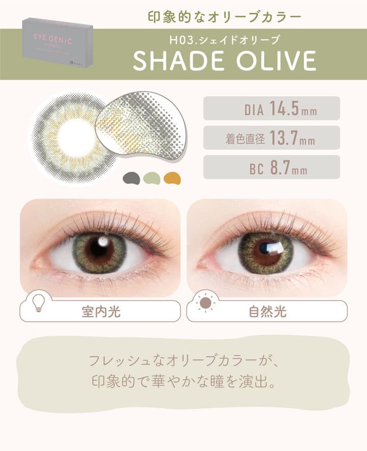 アイジェニックバイエバーカラー 2枚入 1ヶ月交換 