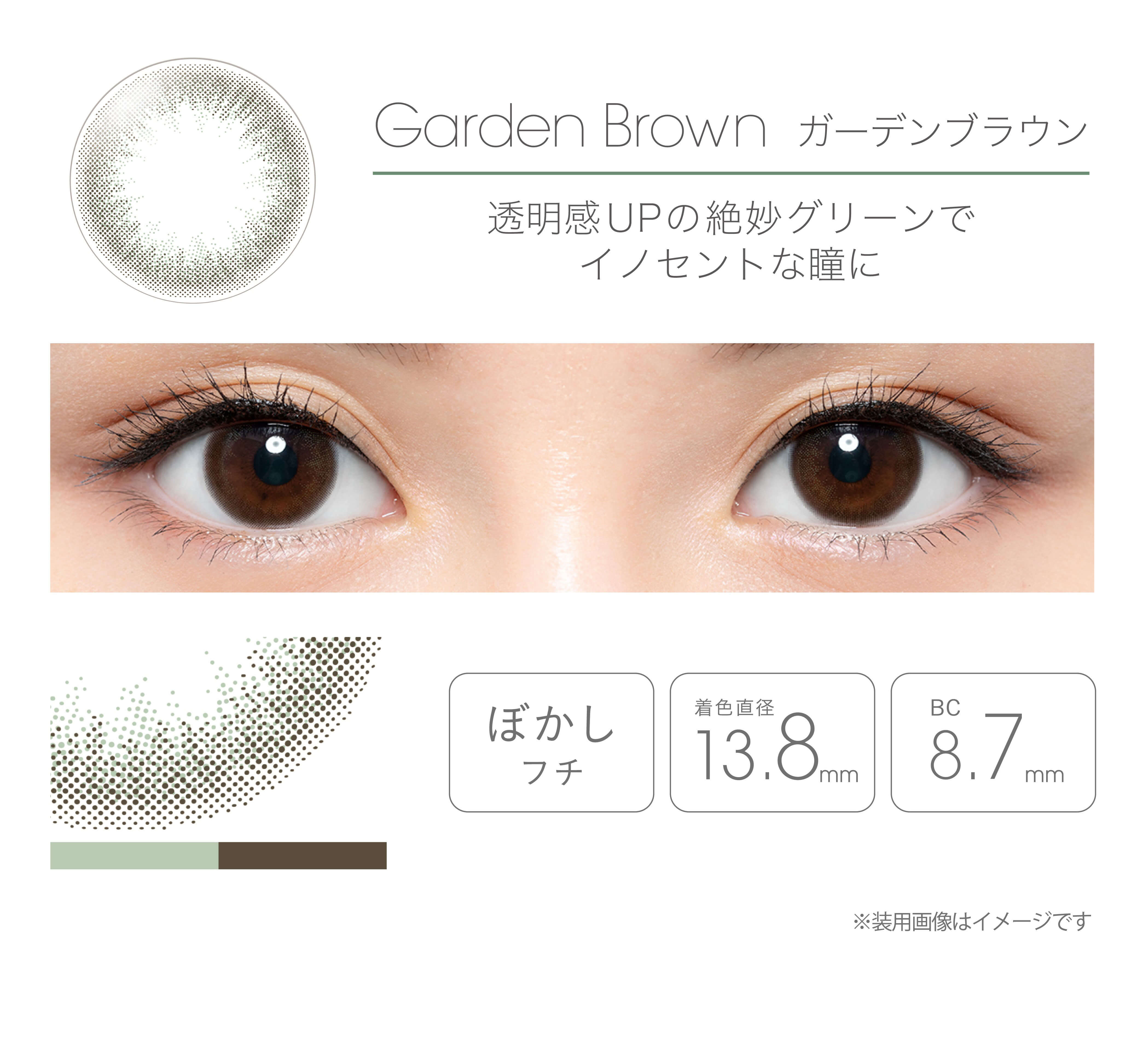 フェアリーマンスリー2枚入/度なし・度あり カラコン　ガーデンブラウン詳細・装用