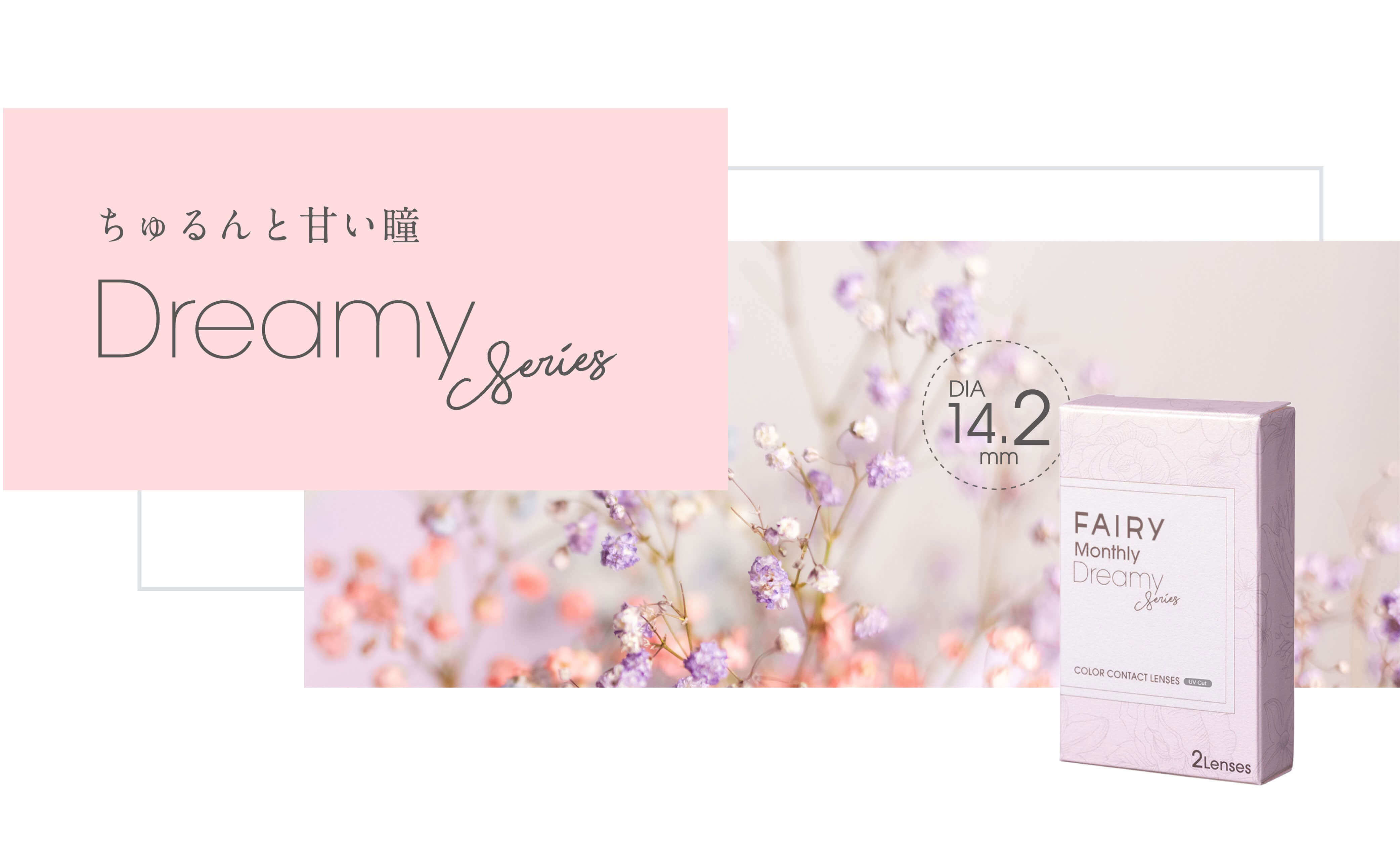 フェアリーマンスリー2枚入/度なし・度あり カラコン