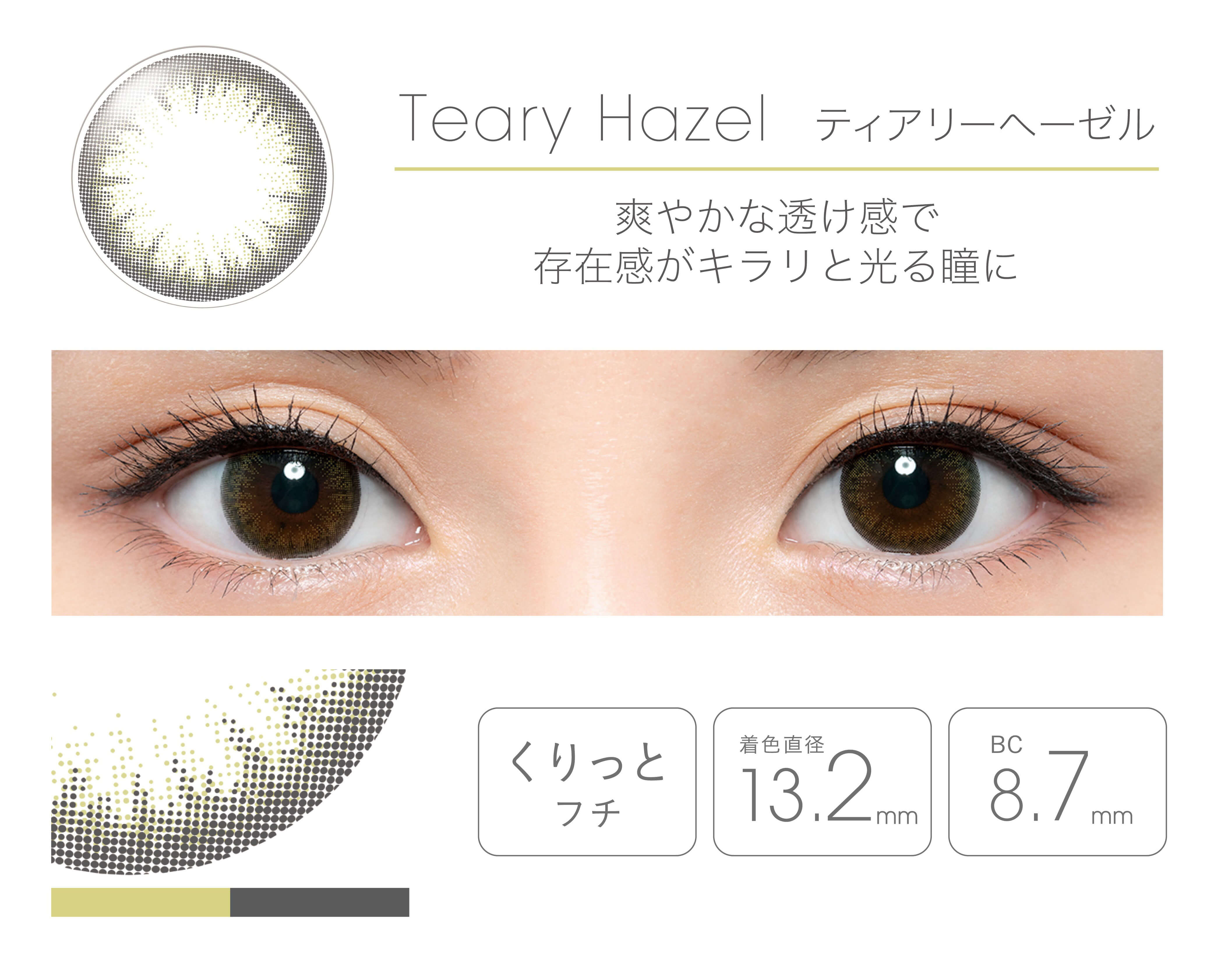 フェアリーマンスリー2枚入/度なし・度あり カラコン　ティアリーアッシュ詳細・装用