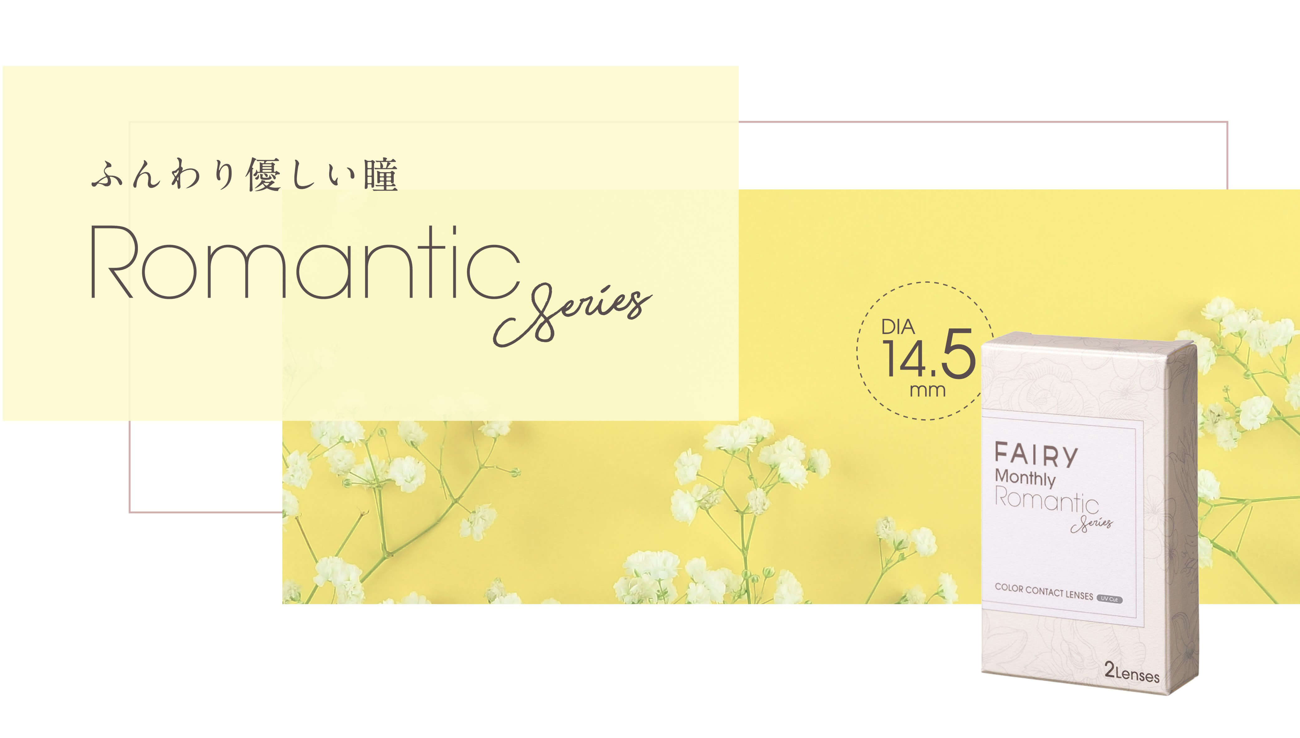 フェアリーマンスリー2枚入/度なし・度あり カラコン　