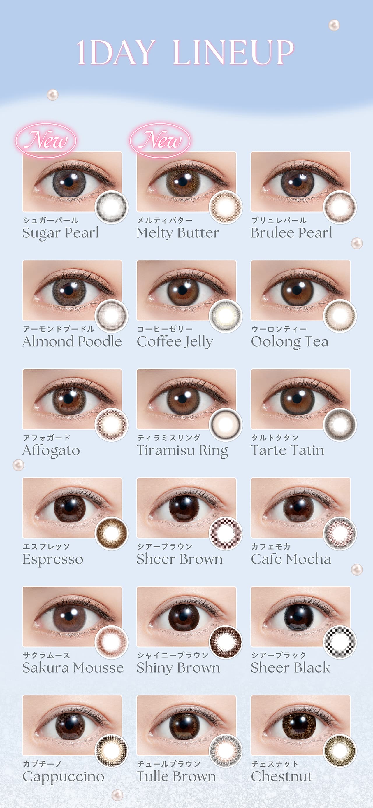 白石麻衣イメージモデルのフェリアモワンデー（feliamo）全色カラーラインナップ