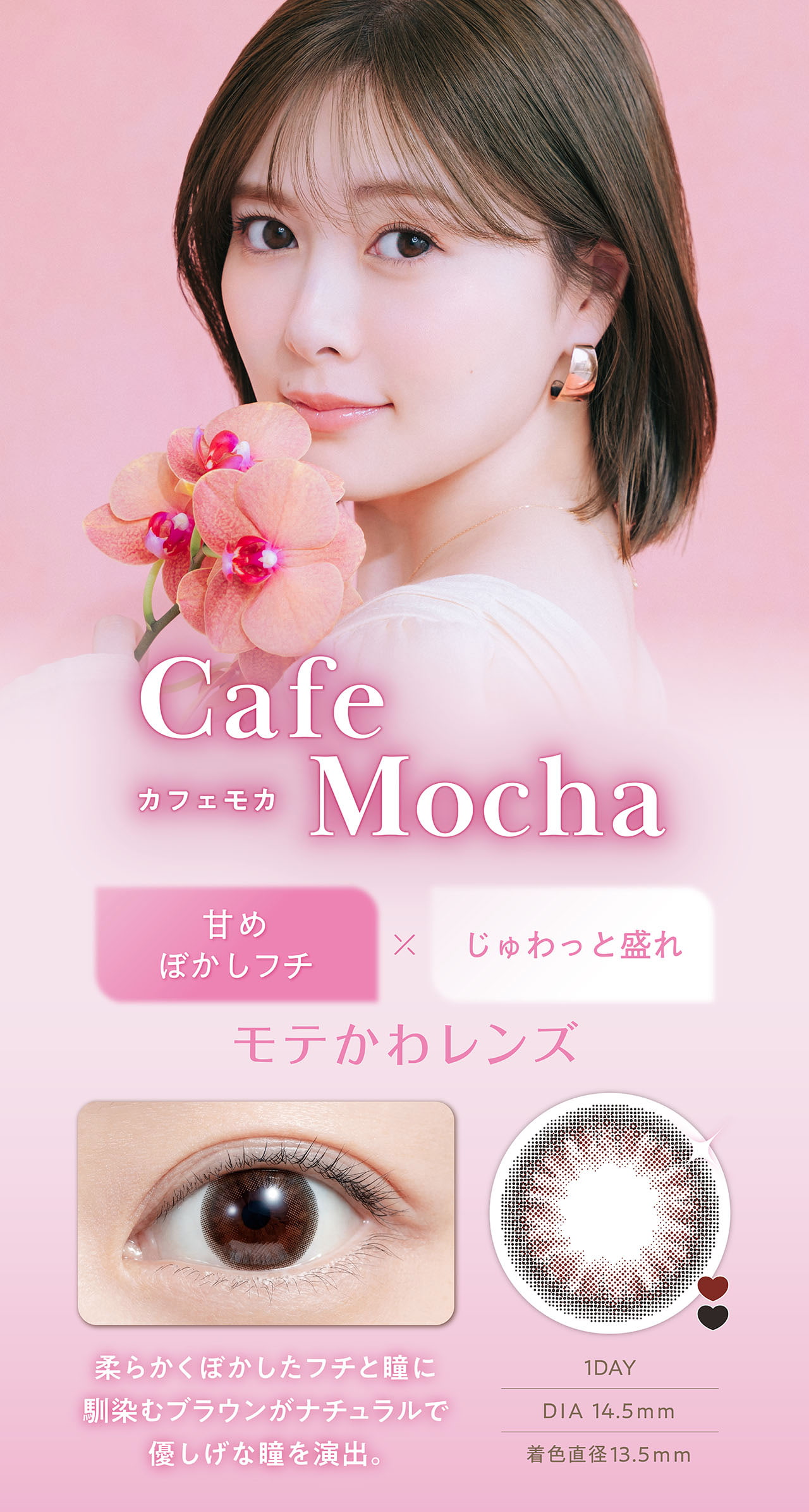 白石麻衣イメージモデルのフェリアモワンデー（feliamo）「カフェモカ」