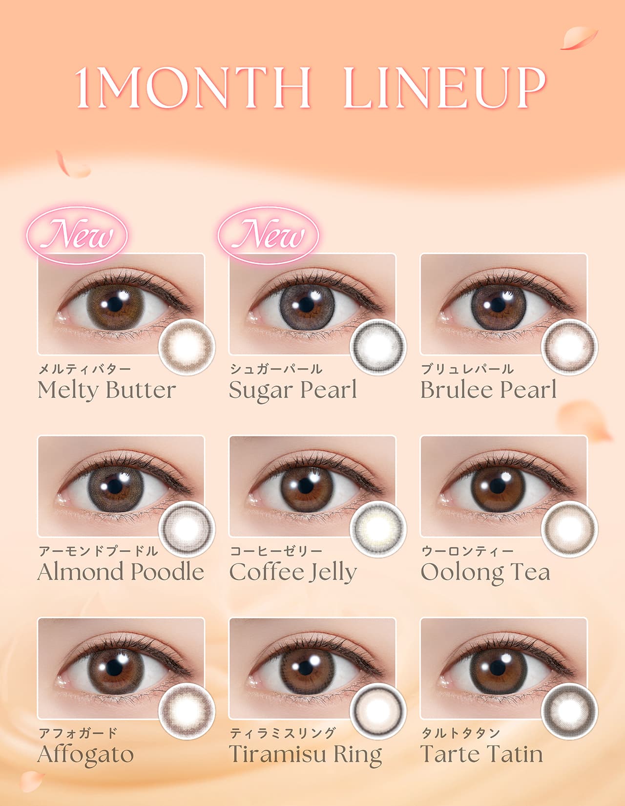 白石麻衣イメージモデルのフェリアモマンスリー（feliamo）カラーラインナップ