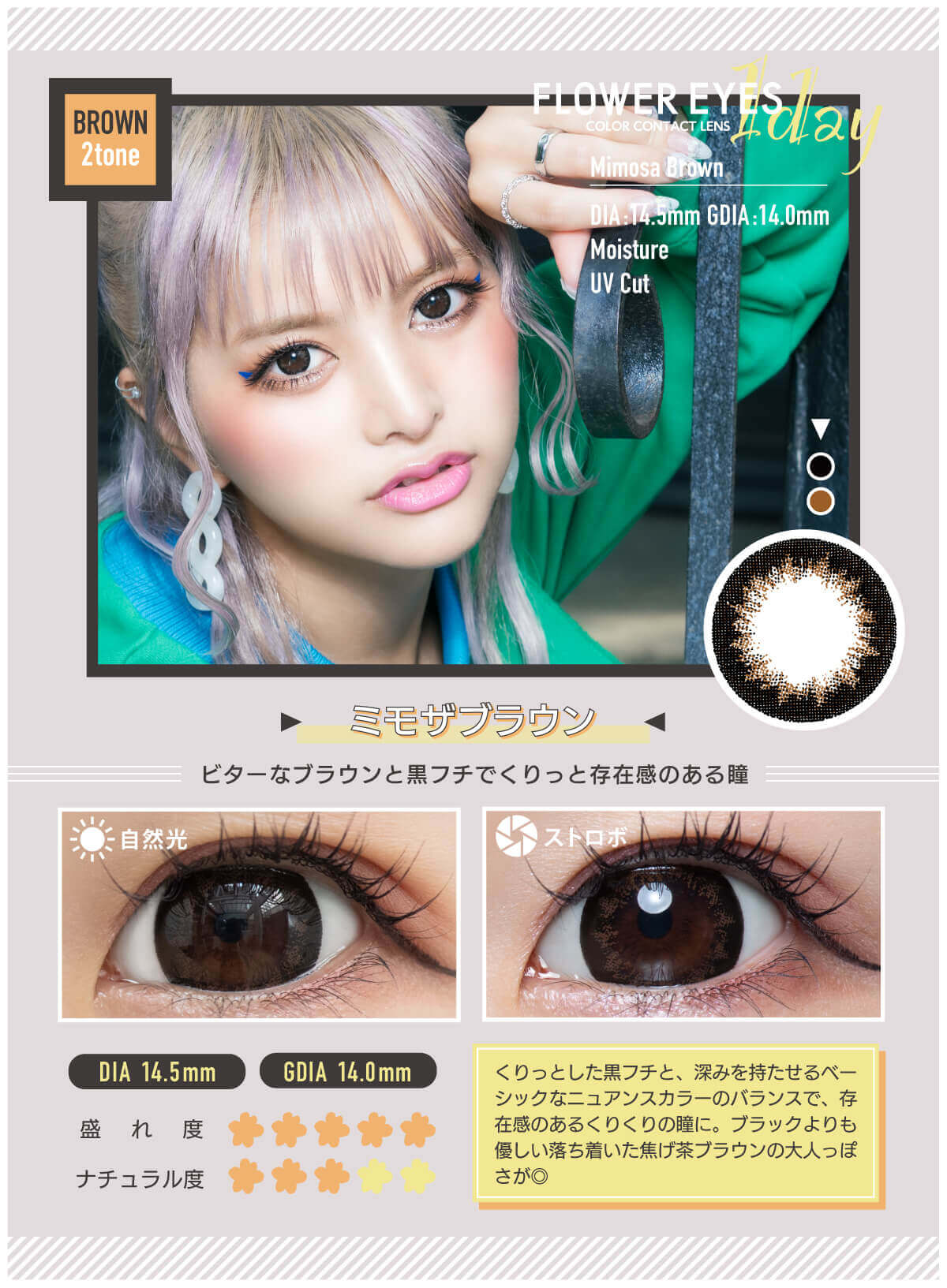 フラワーアイズワンデー 10枚入 うさたにパイセン　ミモザブラウン