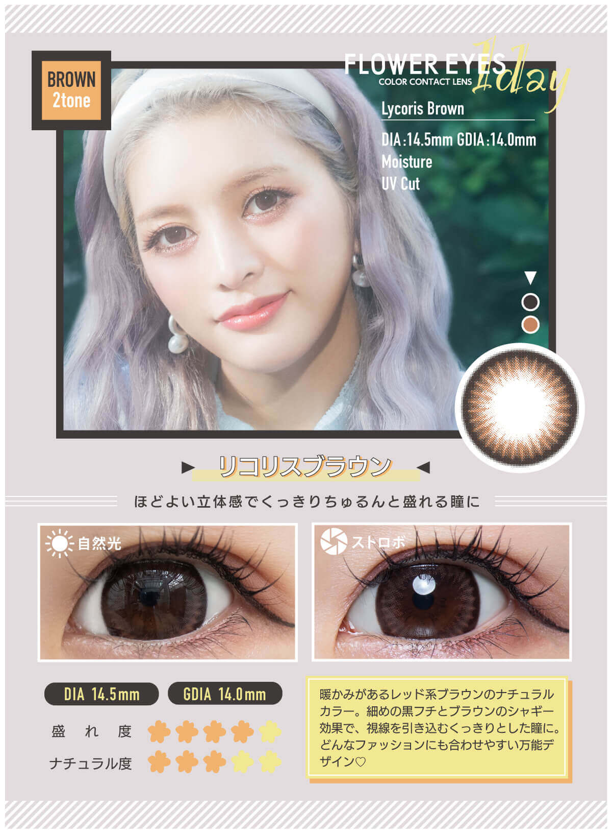 フラワーアイズワンデー 10枚入 うさたにパイセン　リコリスブラウン