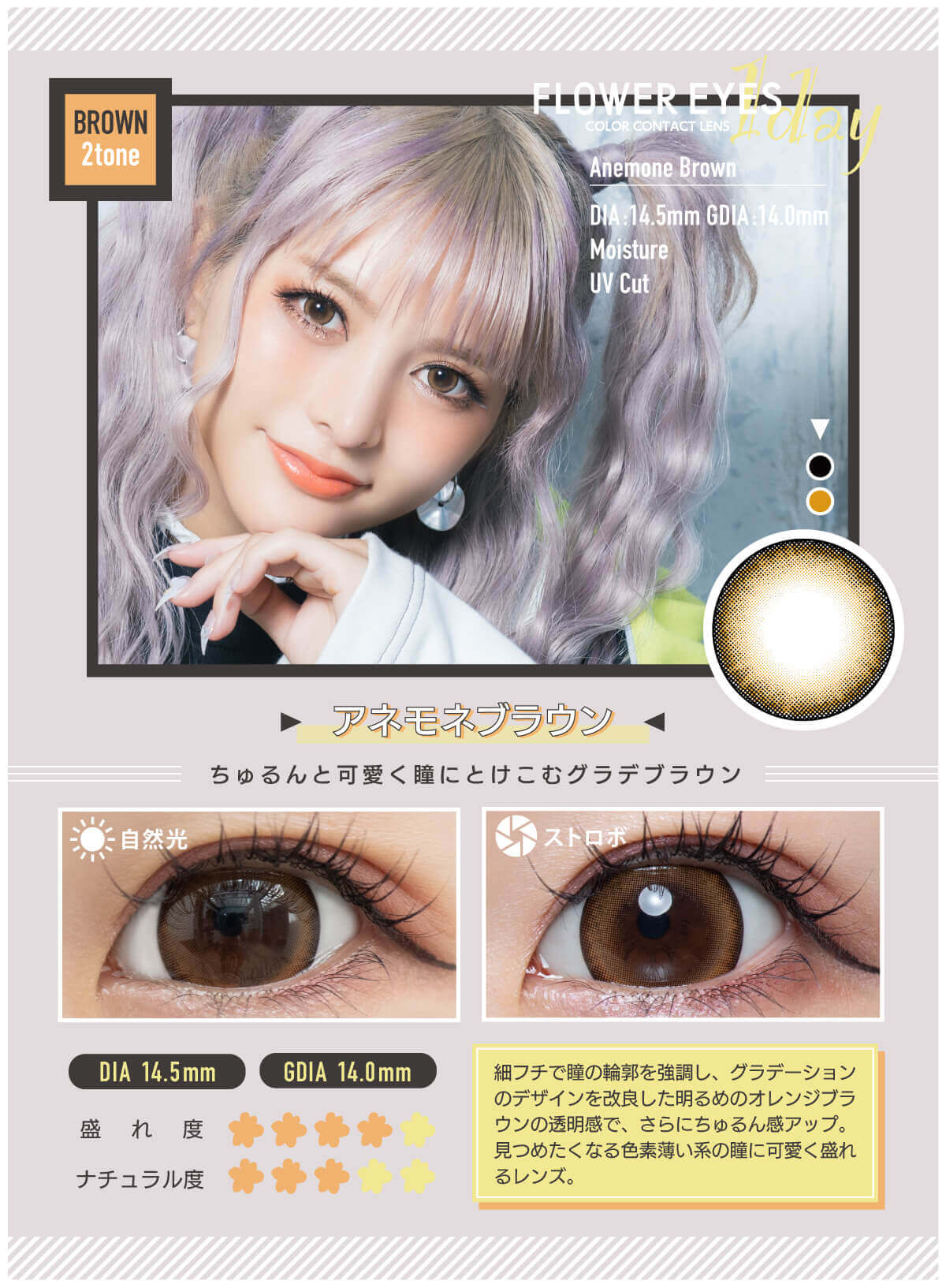 フラワーアイズワンデー 10枚入 うさたにパイセン　アネモネブラウン