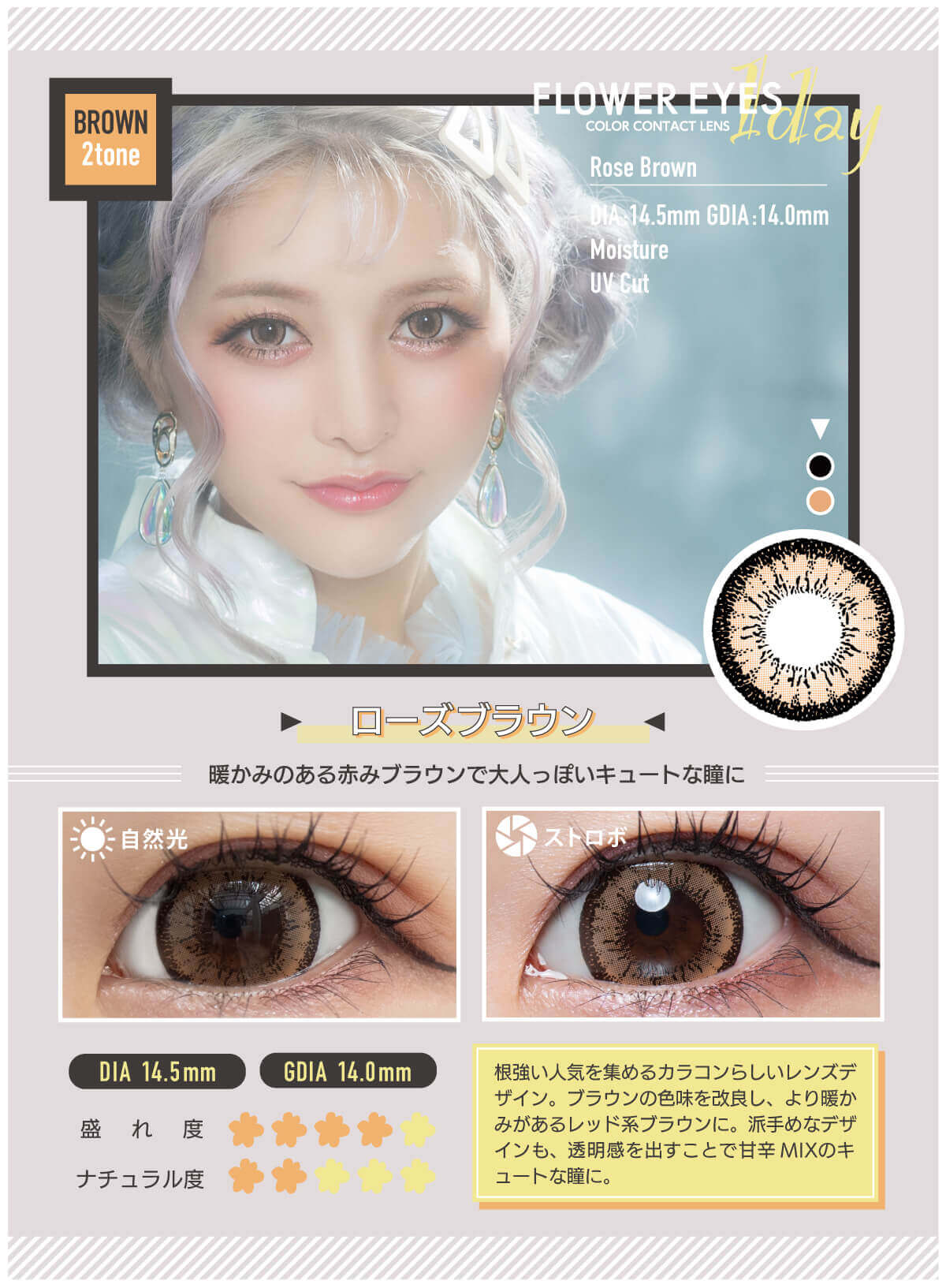 フラワーアイズワンデー 10枚入 うさたにパイセン　ローズブラウン