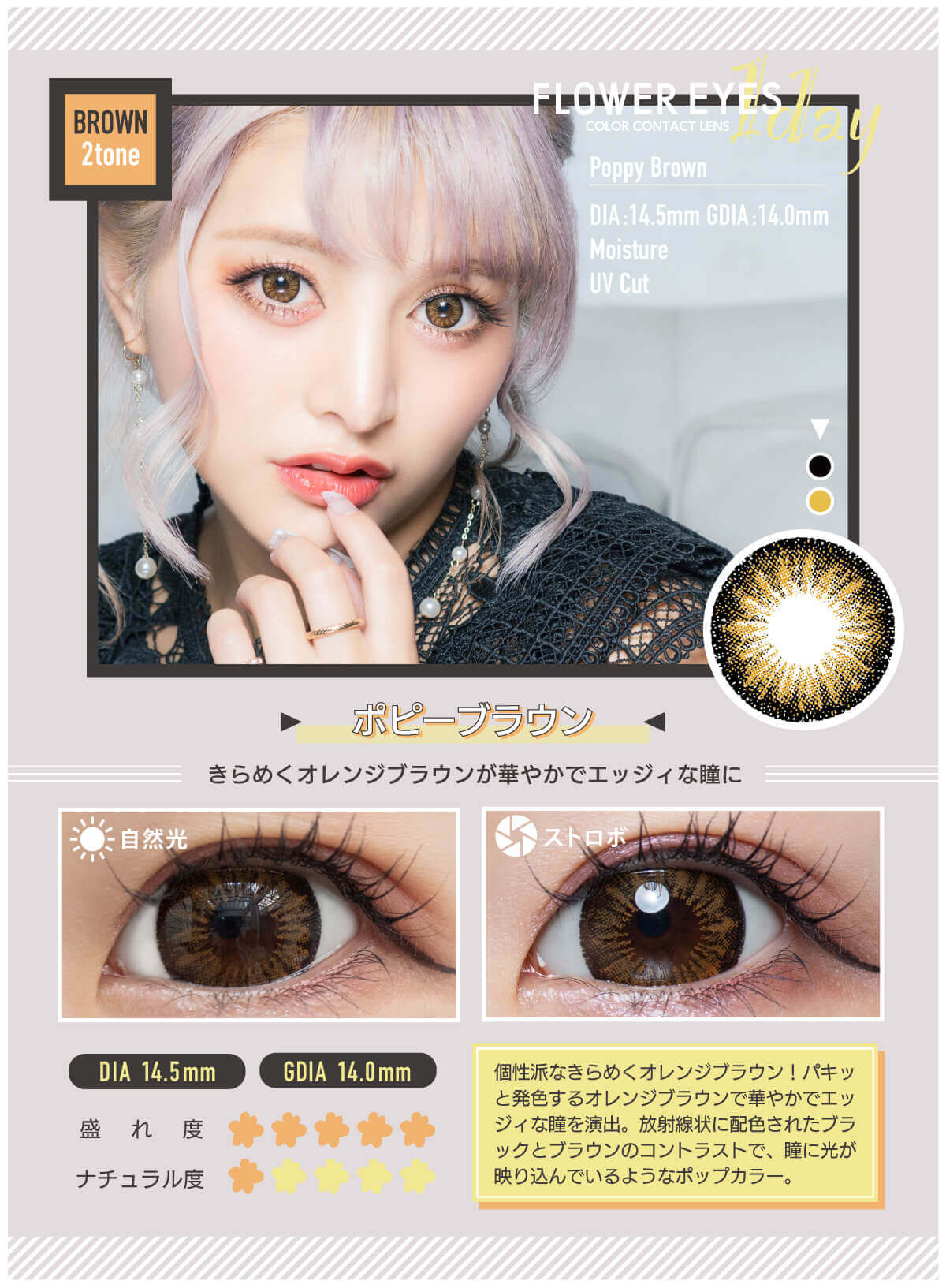 フラワーアイズワンデー 10枚入 うさたにパイセン　ポピーブラウン