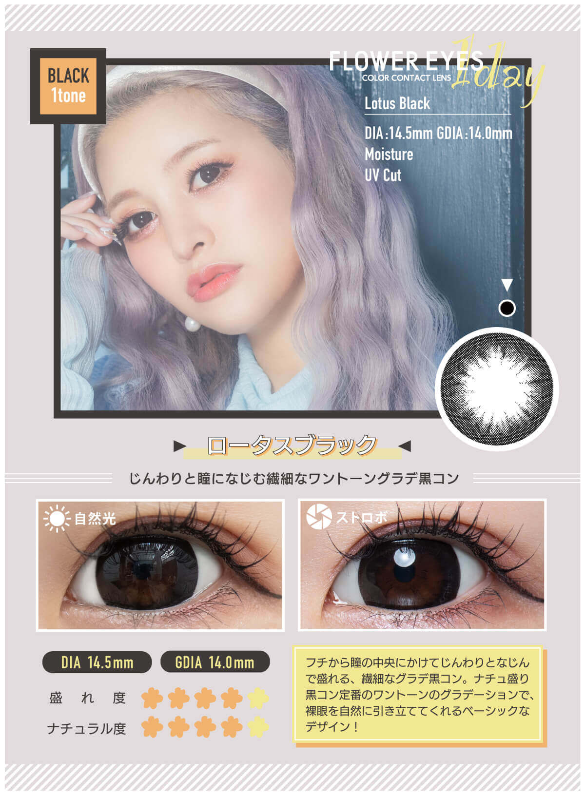 フラワーアイズワンデー 10枚入 うさたにパイセン　ロータスブラック