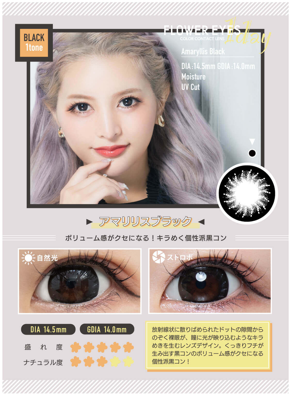 フラワーアイズワンデー 10枚入 うさたにパイセン　アマリリスブラック