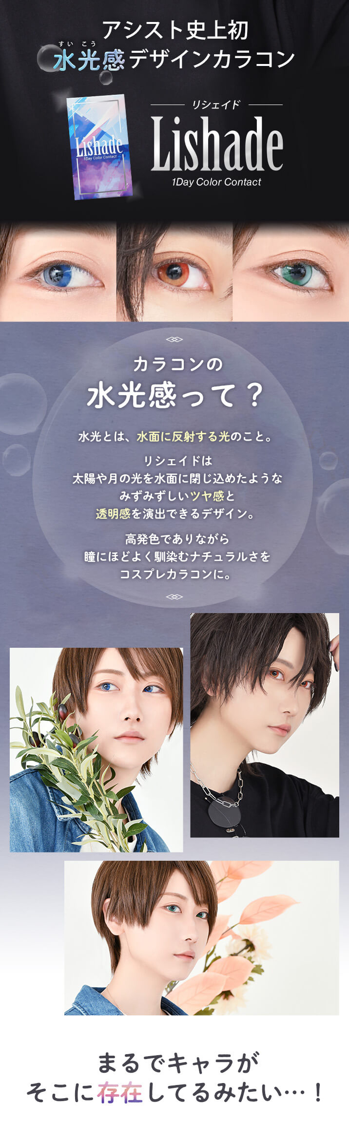 アシストシュシュ リシェイドワンデー(AssistChouChou Lishade1day) 