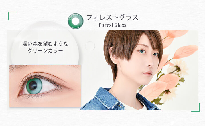 アシストシュシュ リシェイドワンデー(AssistChouChou Lishade1day) フォレストグラス