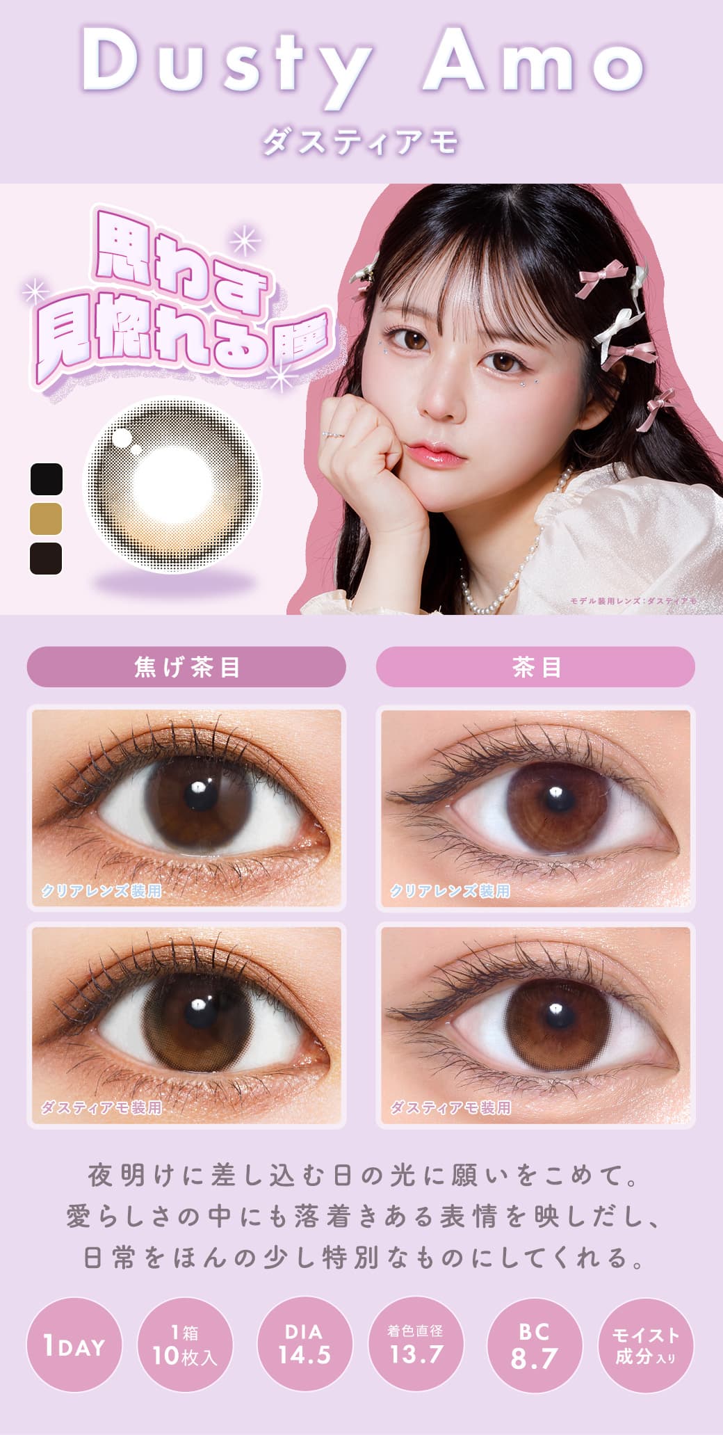 メランジェ シュエット ワンデーモイストイン「ダスティアモ」詳細